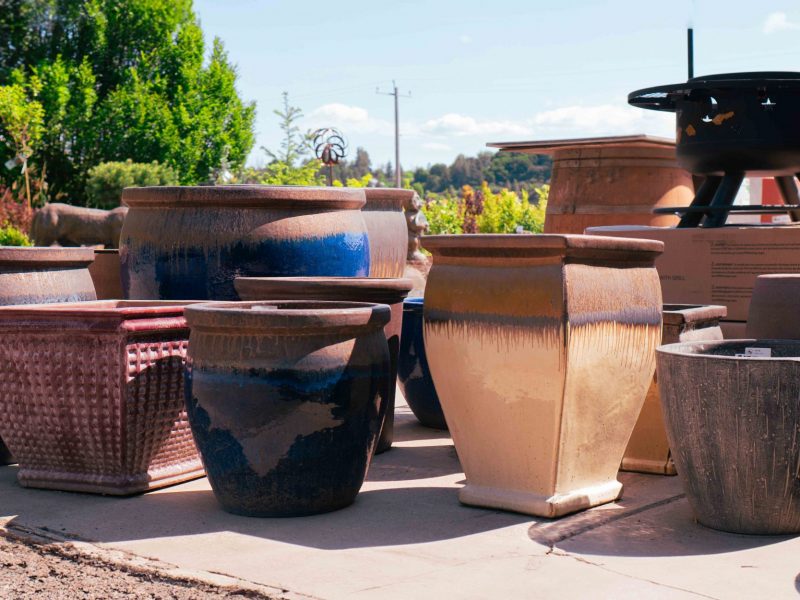 Large Pots Panorama 2